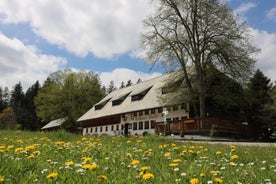 Gasthaus Zur Staude