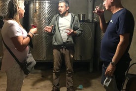 Natural Wine Tour à região de Kartli, almoço e degustação de vinhos no Andro Barnovi