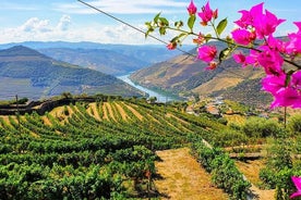 Vale do Ouro, incluindo almoço e viagem diurna para grupos pequenos com degustação de vinho e cruzeiro fluvial opcional