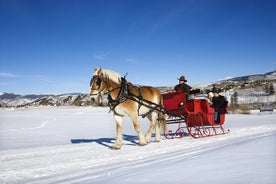 Recorrido en trineo tirado por caballos desde Salzburgo