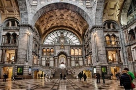 Privé Halve Dag Tour van Antwerpen of Stad van Rubens vanuit Brussel