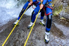 From Funchal: Intermediate (Level 2) Canyoning Adventure