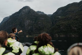 Safári privado e panorâmico do Hardangerfjord RIB saindo de Norheimsund