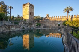 Mesquita, Alcazar dos Monarcas Cristãos e Juderia