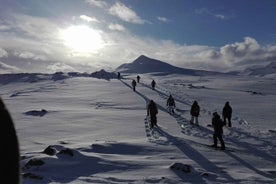 Akureyri: Snowshoeing with The Traveling Viking