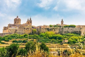 Halbtägige private Tour rund um die Insel in Malta