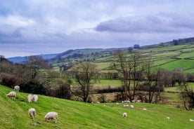 Full-Day Yorkshire Dales Tour from York