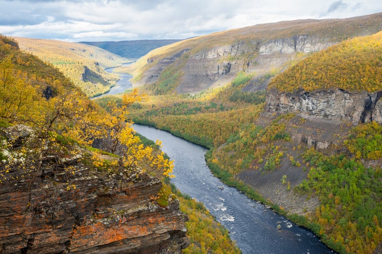 shutterstock_561771508.jpg
