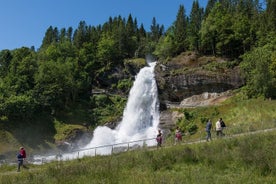 Visite guidée privée d'une journée à Hardangerfjord