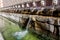 Fountain of the 99 Spouts (Fontana delle 99 cannelle), Historic fountain with 99 jets distribuited along three walls, L Aquila, Italy.