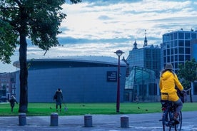 Half-Day Private Van Gogh Museum and Rijksmuseum Tour