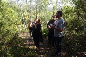 Tour del vino nella zona di Pic Saint-Loup