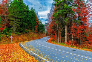 road landscape in the city. Turkey travel in summer. Highway view in beautiful city. Car driving on the road in city. Travel view in asian cities. Highway landscape in summer. Bursa, Turkey.