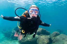 Excursion de plongée sous-marine d'une demi-journée - Découvrez la plongée sous-marine !