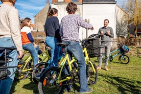 Cykeltur i historiska Ghent