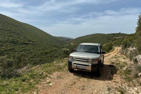 6 Hours Guided Tour to Zakynthos Island with 4WD 