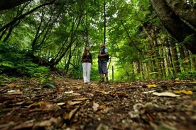 Twee uur wandelen op Sao Miguel (Azoren) naar Faial da Terra vanaf Ponta Delgada