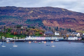 Excursión privada a la isla de Skye desde Portree