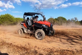 Aventura en buggy: tour guiado todoterreno de 2 horas desde Albufeira