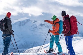 Snöskovandring till Lievarden