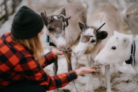 Small Group Snowshoeing and Reindeer Farm Visit