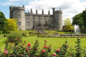 Excursion d'une journée à Kilkenny, aux montagnes de Wicklow, et à Glendalough, et exercices des chiens de berger au départ de Dublin