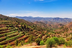 Tour privado a las montañas y pueblos de Troodos desde Paphos