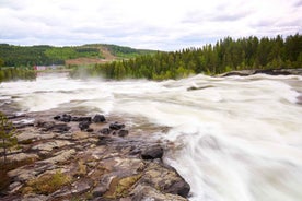 From Jokkmokk: The Great Rapids National Park