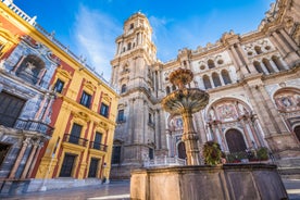 Photo of panoramic aerial view of Malaga on a beautiful summer day, Spain.