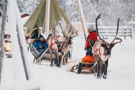 Apukka Reindeer Journey