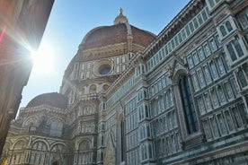 Private All-inclusive Heart of Florence Walking Tour with Accademia and Uffizi