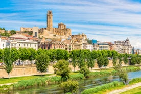 Photo of aerial view of beautiful landscape of Zaragoza, Spain.