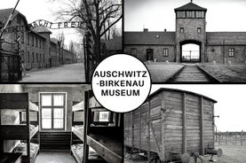 Auschwitz-Birkenau: biglietto d'ingresso con visita guidata