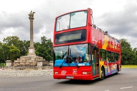 Walexcursie Dublin: hop-on hop-off stadstour door Dublin