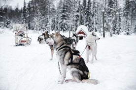 Pilkkiminen ja Husky