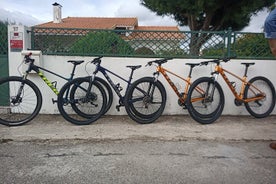 Mieten Sie ein Fahrrad ganztägig von Coimbra