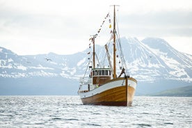 Fjord- und Geschichtskreuzfahrt