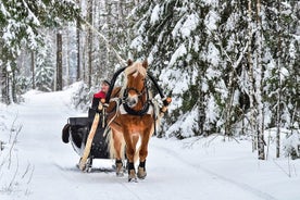 Private Horse-Drawn Sleigh Adventures