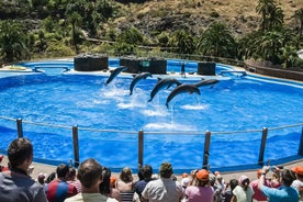 Maspalomas: Palmitos Park Miði með Sýningum af Höfrungum og Fuglunum