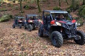 Tour guidato in buggy di Ponte de Lima