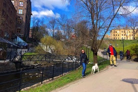 Tour de cultura alternativa y comida callejera en Oslo