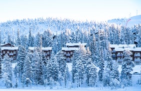 photo of beautiful view of Finnish landscape with trees in snow, ruka, karelia, lapland, hilly winter landscapes in famous winter sports area called Ruka.