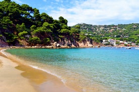 photo of sea landscape with Calella de Palafrugell, Catalonia, Spain near of Barcelona. Scenic fisherman village with nice sand beach and clear blue water in nice bay. Famous tourist destination in Costa Brava.