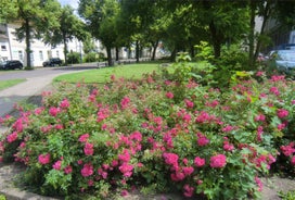 Apartmenthaus Rosenflair Ferienwohnungen