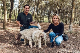 Découvrez la chasse aux truffes toscanes avec vin et déjeuner