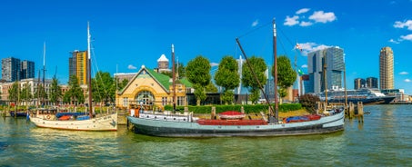 Rotterdam - city in Netherlands