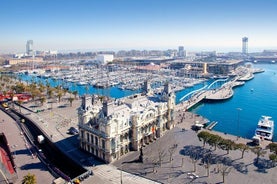 Barcelona privat transport: Barcelona sentrum til cruisehavn