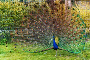 Chomutov Zoo