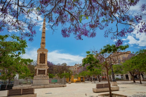 Photo of Plaza de la Merced public square located in the in central Malaga, Spain and Torrijos monument with purple flowers tree .