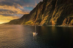 Funchal: Dolphin and Whale Watching Sunset Sailing Tour